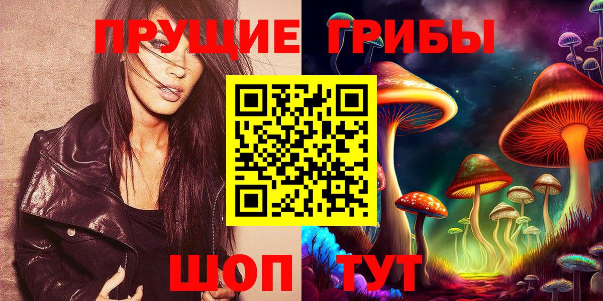 Псилоцибиновые грибы Psilocybine cubensis Уссурийск
